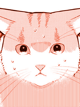 偶像貓貓~變成貓貓被偶像養起來了