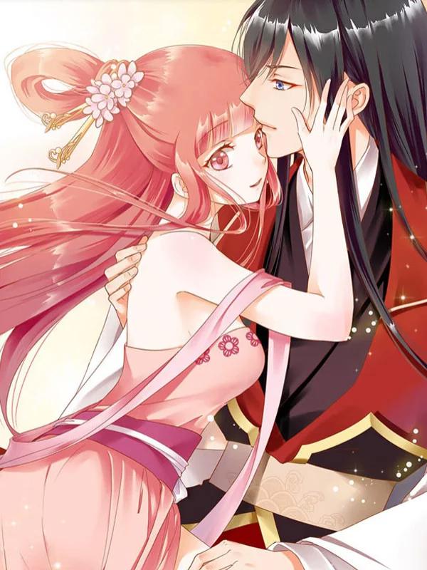 穿越王妃要升級