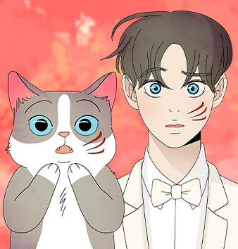 野生天使保護區域