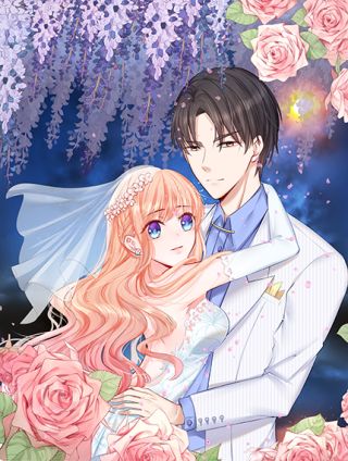 隱婚蜜愛：總裁大叔的天價寶貝